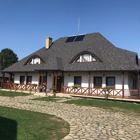 Casa Strabunicului Otel Partestii de Sus  Dış mekan fotoğraf